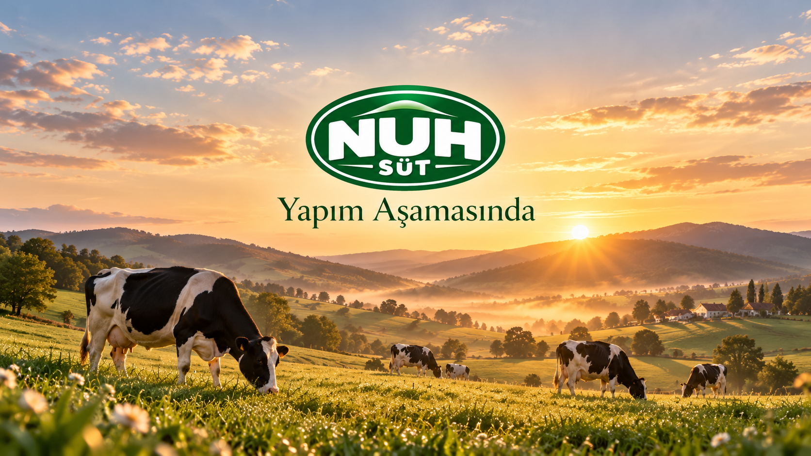 Nuh Süt — Yapım Aşamasında